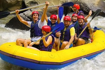 Ayung River Rafting and Tanah Lot Tour