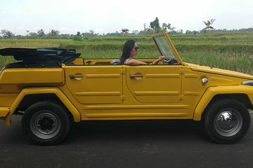 Safari style tour in Bali Island