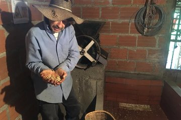 Full Day Filandia Coffee Tour + Trekking Reserve Barbas - Bremen