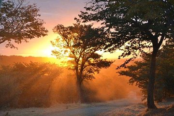 Zambezi Sundowner Cruise