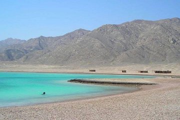 Abu Galoum Safari