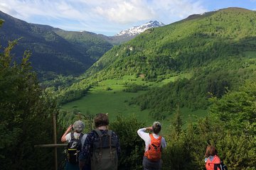 Day Tour to Mirepoix, Montségur, Camon. Private tour from Carcassonne