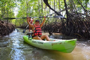 Mangrove Kayaking (or boat) Adventure