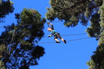 Adrenalin Forest Auckland