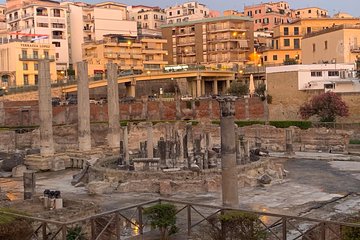  Testing Wine to the farm and Pompeii Ruins with driver