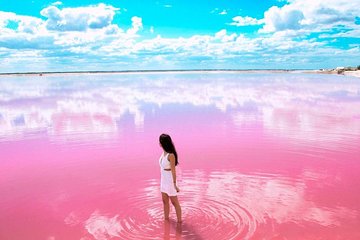 Tour Las Coloradas & Rio Lagartos only from Tulum