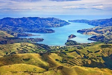 Akaroa Full Day Sightseeing Tour from Christchurch