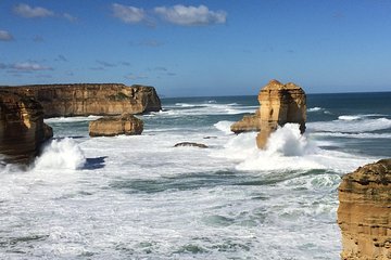 [PRIVATE TOUR] 12 Apostles | Great Ocean Road | Day Trip