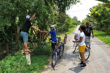 Mekong Delta With Biking ( Non Touristy)