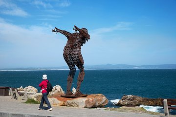 Full Day Hermanus and Winelands Tour