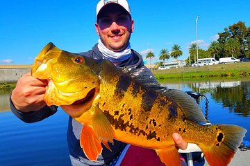 Peacock Bass Fishing Trips Near Miami Florida