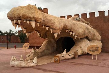 Marrakech to crocoparc Agadir beach's shared day trip 