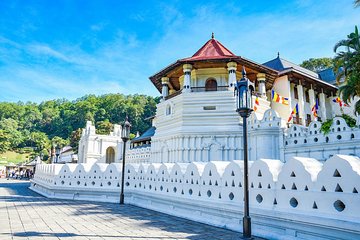 Kandy Day Tour from Kalutara & Wadduwa Hotels