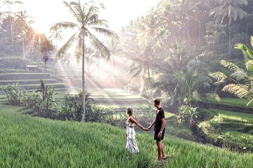 Le Meilleur d'Ubud avec Guide Francophone: Cascade, Rizière, Temple, Café Tour