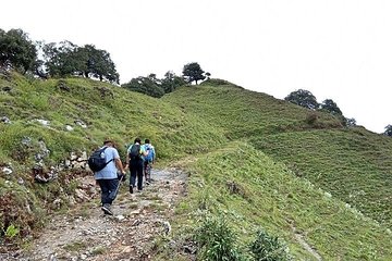 Benog Hill Trek