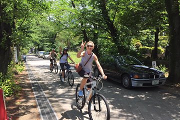 Small Group Cycling Tour in Tokyo