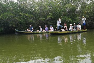 Private Mangrove Tour + Lunch + Horse riding + fishing classes