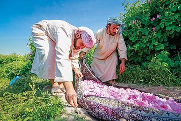 Jebel al Akhdar - Rose Garden/Balad Sayt Village/Diana's Point