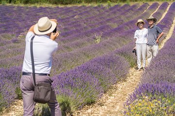 Small Group Marseille Shore Excursion: Lavender Tour