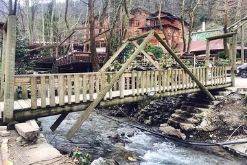 Private Day Trip From Istanbul to Lake Sapanca and Maşukiye Village