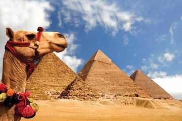 8 Day Egypt Highlights Cairo, Aswan, Nile Cruise, Abu Simbel, Balloon, Camel