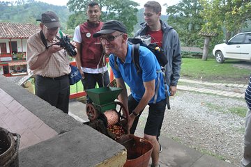 Fredonia coffee tour 