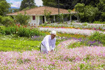 Colombia traditional flowers full day tour