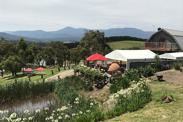 [PRIVATE TOUR] Yarra Valley Winery | Day Tour