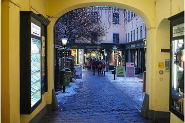 Private Vienna tour from Budapest with guide