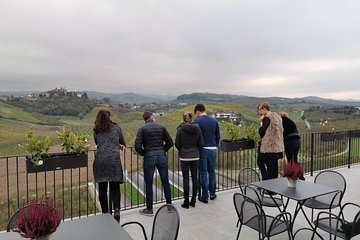 Barolo&Barbaresco wine tour with a local winemaker 