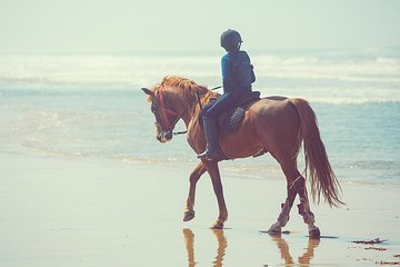 Horseback Riding: PLAYA BLANCA Advanced Riders - Tangier - 1 hour