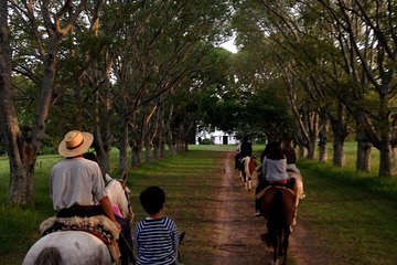 Vineyard Tour with Wine Tasting and Lunch in Buenos Aires