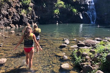 Surf and SeaTurtles Oahu Tour