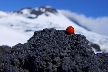 Etna Morning Experience