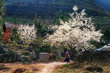 2 Days Sapa Trekking In Cat Cat And Ta Van Village From Hanoi