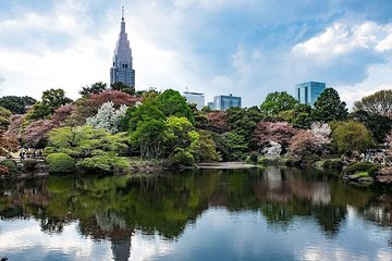 Tokyo Japanese Garden Lover's Private Tour with Government-Licensed Guide