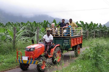 Hill station farm house stay 