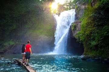 Ubud - Waterfall - Jungle Swing - Monkey Forest - Rice Terrace - Free WiFi