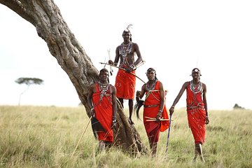 Private 7 Days Samburu Ol pejeta Lake Nakuru Lake Naivasha and Masai Mara Safari