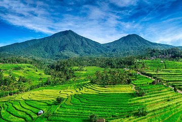 Tanah Lot - JatiLuwih (UNESCO) - Ulun Danu Temple - Wanagiri Hill - Free WiFi