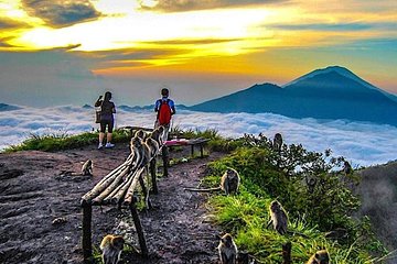 Mount Batur Sun Rise Trekking - Hot Spring Water - Coffee Plantation - Free WiFi