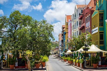 Curacao Private Tour and Activity Experience (4 up to 13 people)