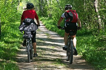 Mountain biking in the forest