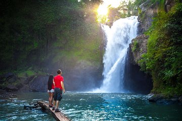 Ubud Tour - Jungle Swing - Rice Terrace - WaterFall - Ancient Temple - Free WiFi