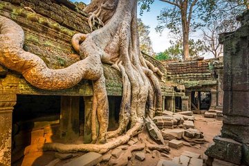 Discovery Angkor Wat Temple Two Days Tour