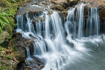 The Adventure Tour: Vallée des Couleurs & La Vanille Nature Parks & Gris Gris