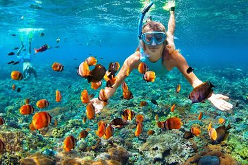 Sharm el-Sheikh: Snorkel & Camel Safari at Blue Hole