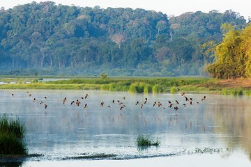 Wild private Nam Cat Tien National Park 2 days 1 night