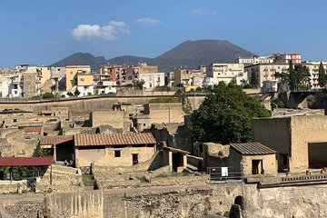 Private Herculaneum Guided Tour with an Archeologist