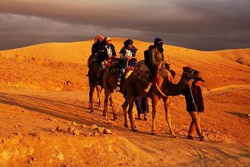 Experience of the desert of Zagora in 2 days